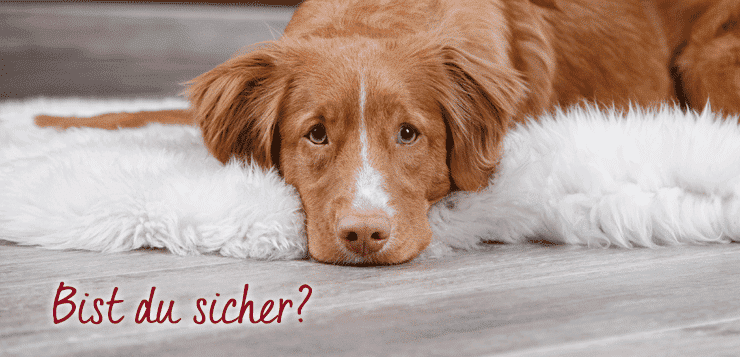 Bist du sicher?