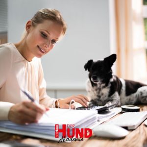 Teilnahme Online-Seminar »Von Versicherungen bis Steuer – Durchblick für Hundetrainer und Co.«