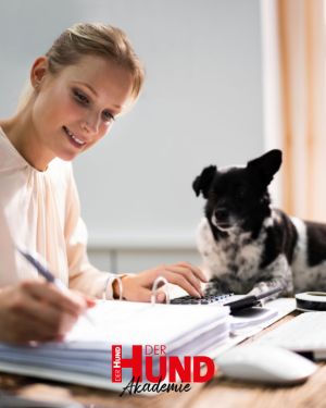 LIVE Online Seminar “Von Versicherungen bis Steuer”
